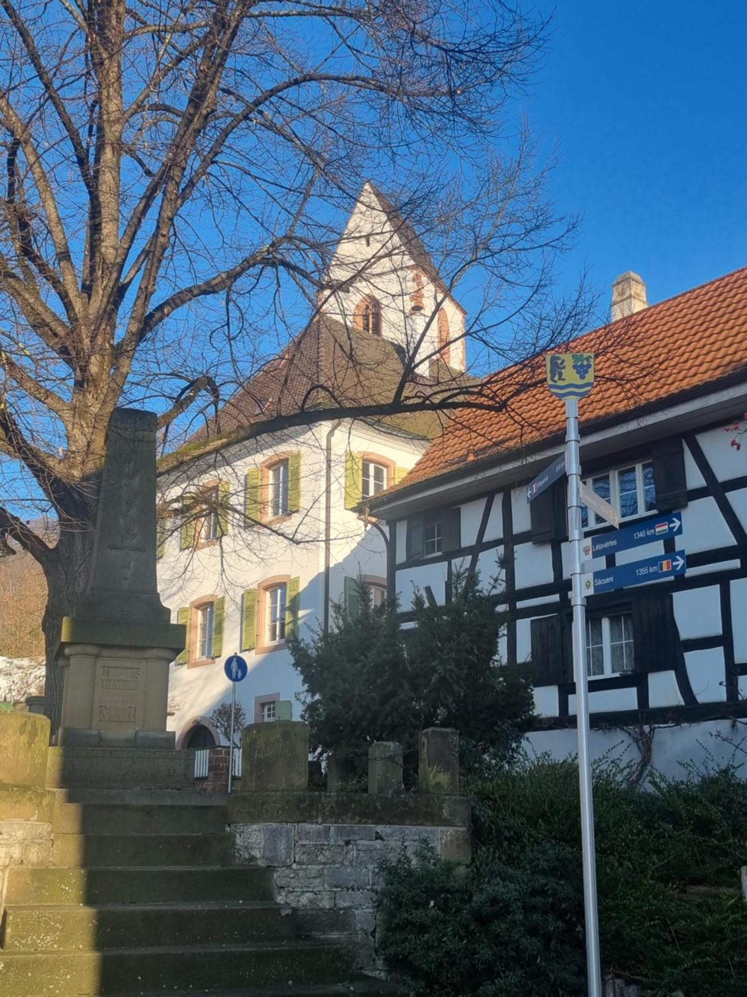 Regio Basiliensis Grenzach-Wyhlen Exterior foto